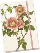 Skona Ting, Róże, notatnik ozdobny A5, 1 szt.