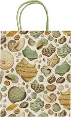 Skona Ting, torebka prezentowa, A5, Muszle