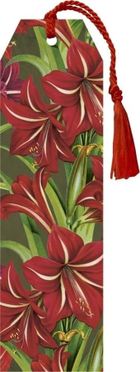 Skona Ting, zakładka do książki ze wstążką, Gwiazda betlejemska