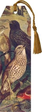 Skona Ting, zakładka do książki ze wstążką, Ptaki