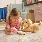 Smiki, Fun Pets, Piesek ze szczeniakami, maskotka interaktywna