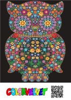 Sowa. Kolorowanka welwetowa, 47-35 cm