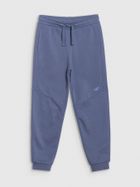 Spodnie dresowe chłopięce, jogger, niebieskie, 4F
