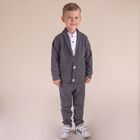 Spodnie dresowe chłopięce, szare, Nicol