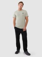 Spodnie dresowe męskie, czarne, 4F