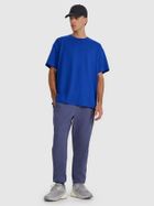 Spodnie dresowe męskie, niebieskie, 4F