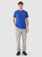 Spodnie dresowe męskie, szare, 4F