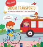 Środki transportu. Dlaczego? Pytania i odpowiedzi