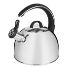 Starke Pro, Ascella, czajnik, połysk, indukcja, 3 l