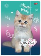 St.Majewski, My Little Friend, teczka z gumką A4, Kitty Party, 1 szt.