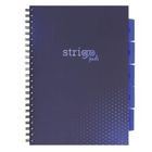 Strigo, Pads, kołozeszyt A4, 100 kartek, kratka, Basic, granatowy, 1 szt.