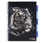 Strigo, Pads, kołozeszyt A4, 100 kartek, kratka, Tygrys, 1 szt.