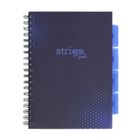 Strigo, Pads, kołozeszyt B5, 100 kartek, kratka, Basic, granatowy, 1 szt.