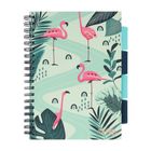 Strigo, Pads, kołozeszyt B5, 100 kartek, kratka, Jungla, zielony, 1 szt.