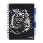 Strigo, Pads, kołozeszyt B5, 100 kartek, kratka, Tygrys, 1 szt.