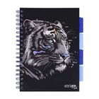 Strigo, Pads, kołozeszyt B5, 100 kartek, linia, Tygrys, 1 szt.