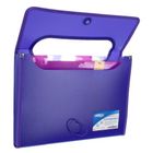 Strigo, teczka A4 z 6 przekładkami, fioletowa, 1 szt.