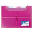 Strigo, teczka A4 z 6 przekładkami, różowa, 1 szt.