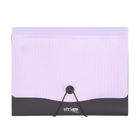 Strigo, Vfile, teczka z 13 przekładkami, A4, liliowa, 1 szt.