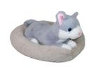 Sun-Day, Kot w legowisku, maskotka, 25 cm