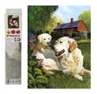 Swede, diamentowa mozaika, labradory