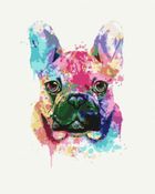 Symag, Paint it! malowanie po numerach, Neonowy mops