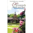 Szczawno - Stadt und Bad (wersja niemiecka)