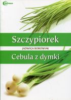 Szczypiorek. Cebula z dymki