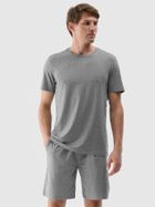 Szorty męskie, szare, 4F