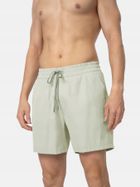 Szorty męskie, zielone, 4F