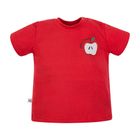 T-shirt chłopięcy, czerwony, Eevi
