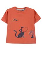 T-shirt chłopięcy, pomarańczowy, Tom Tailor