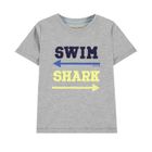 T-shirt chłopięcy, szary, Tom Tailor