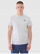T-shirt męski, szary, 4F