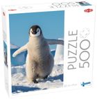 Tactic, Baby penguin, puzzle, 500 elementów