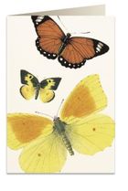 Tassotti, karnet B6 z kopertą, Motyle