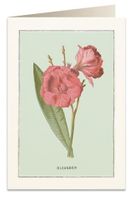 Tassotti, karnet B6 z kopertą, Oleander