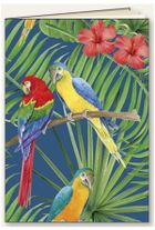 Tassotti, zeszyt ozdobny A5, 48 kartek, linia, Papugi, 1 szt.