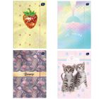 Teczka A4+ z gumką, LUX UV Metallic, 1 szt.