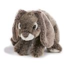 Teddykompaniet, Królik, maskotka, szary, 24 cm