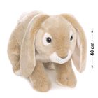 Teddykompaniet, Las, Królik baranek, maskotka, beżowa, 40 cm