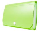 Tetis, mini organizer harmonijkowy PP, na zatrzask, zielony, 1 szt.