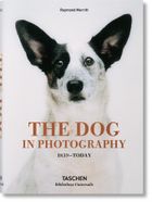 The Dog in Photography