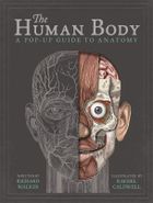 The Human Body. A Pop-Up Guide to Anatomy (wersja angielska)