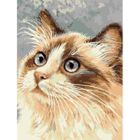 Titanum, malowanie po numerach, Kot, 30-40 cm