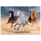 Titanum, mozaika diamentowa, Konie, 30-40 cm