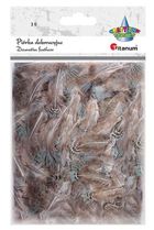 Titanum, piórka półpuch, bażant, brązowo-szare, 3g