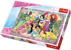 Trefl, Księżniczki Disneya, Spotkanie księżniczek, puzzle, 260 elementów