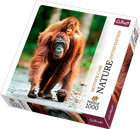 Trefl, Orangutan, Indonezja, Nature Limited Edition Mother Care, puzzle, 1000 elementów