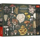 Trefl, Premium Plus, Finders Keepers, Grzyby, puzzle, 500 elementów